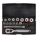 Bahco Bahco Limited Edition 1/4" Socket Set SL25MHBL SL25