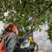 Dewalt DCMPS567N 18V XR Pole Chainsaw (Bare Unit) DCMPS567N