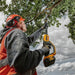 Dewalt DCMPS567P1 18V Brushless Pole Chainsaw (1x5.0Ah) DCMPS567P1