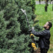 Dewalt DCMASPH6N-XJ 54V XR Flexvolt Split Boom - Pole Hedge Trimmer Attachment (Bare Unit) DCMASPH6N