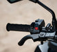 LONCIN Loncin | XWOLF 200