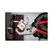 Milwaukee Milwaukee Plastic Cutter 4932479407